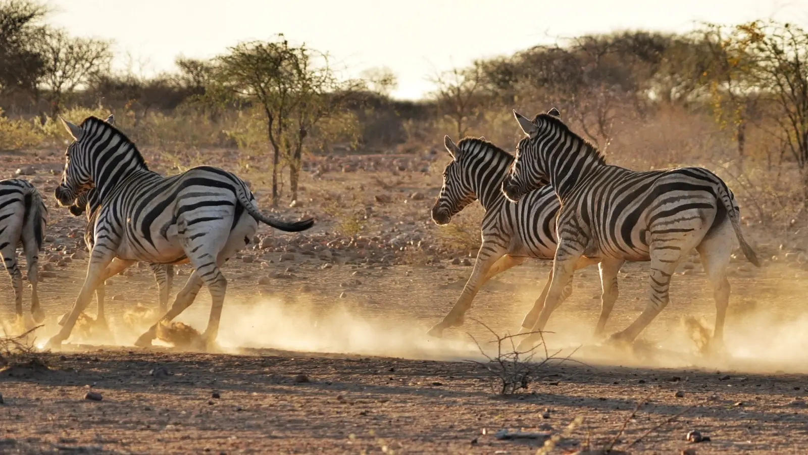 Exlusive Hunting ranch and Guest farm for Sale - NO WAIVER NEEDED